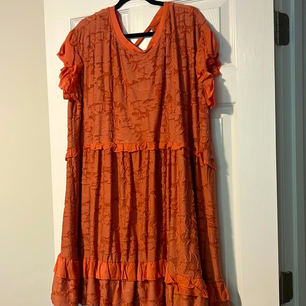 Stunning pale orange midi Anthropologie dress with tie back
